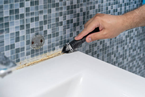 Best Water Damage Restoration  in Burien, WA